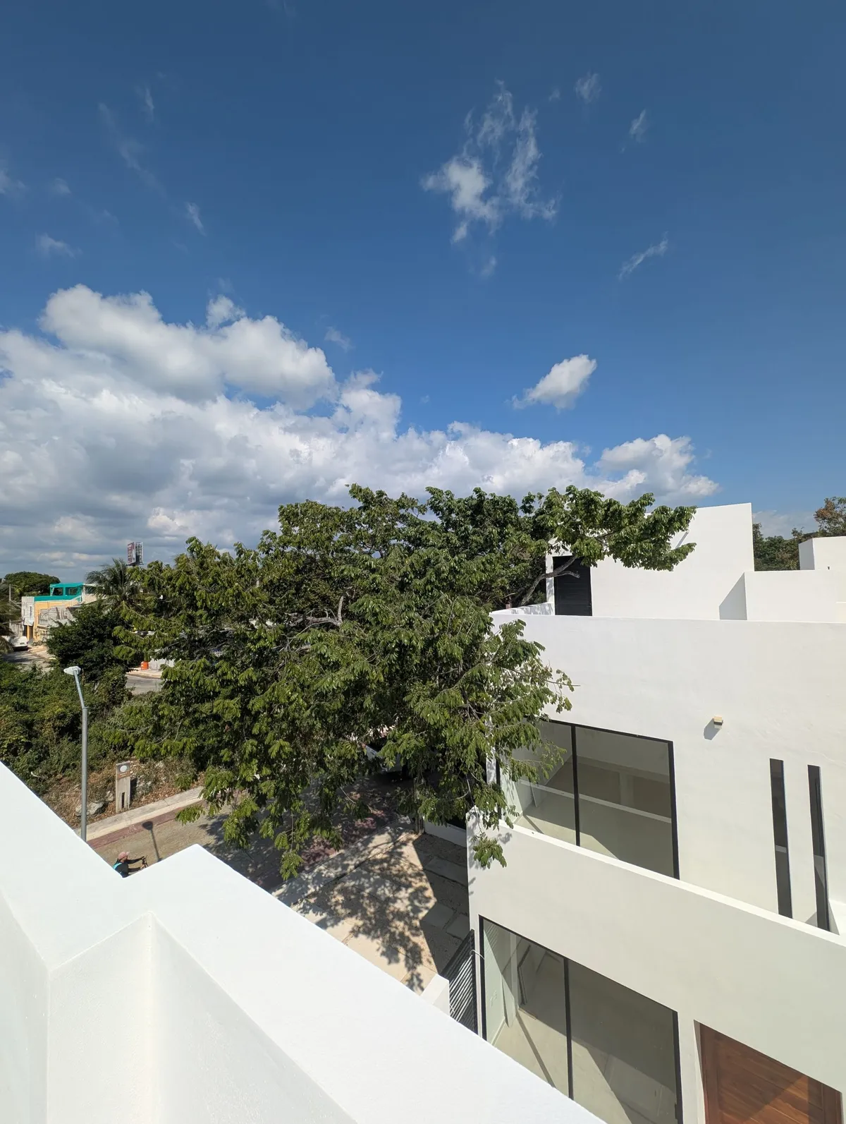 View from the rooftop terrace over the trees of Puerto Morelos